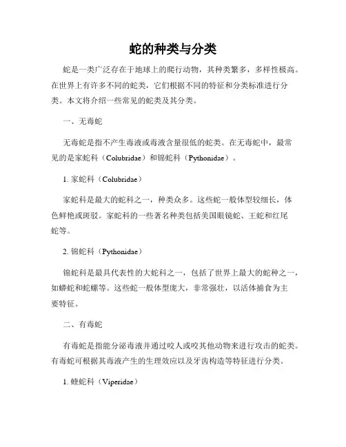蛇的种类与分类