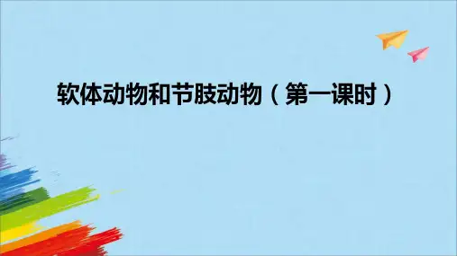 人教版八年级生物上册《软体动物和节肢动物》教学课件