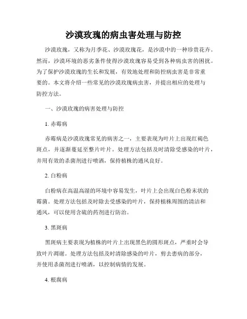 沙漠玫瑰的病虫害处理与防控