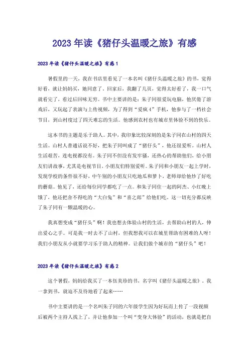 2023年读《猪仔头温暖之旅》有感