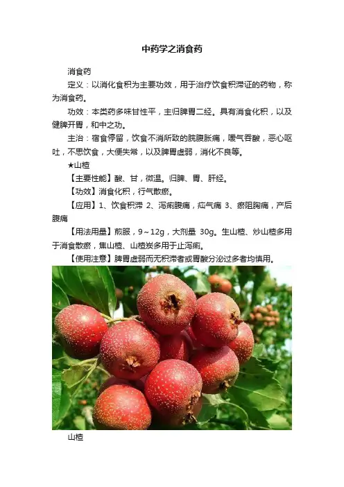 中药学之消食药
