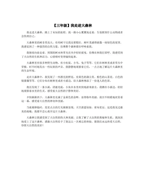 【三年级】我走进大森林