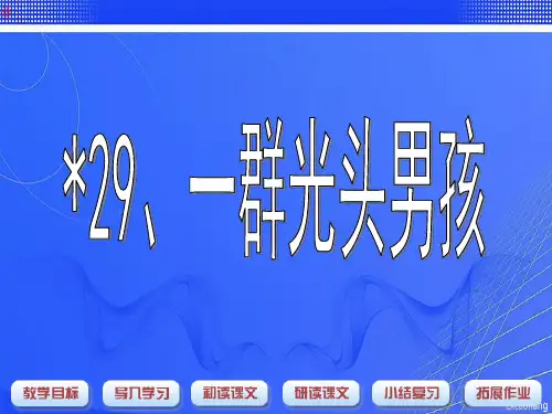 沪教版一年级语文下册《一群光头男孩》课件