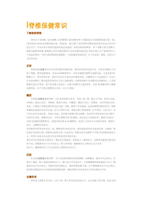 脊椎保健常识