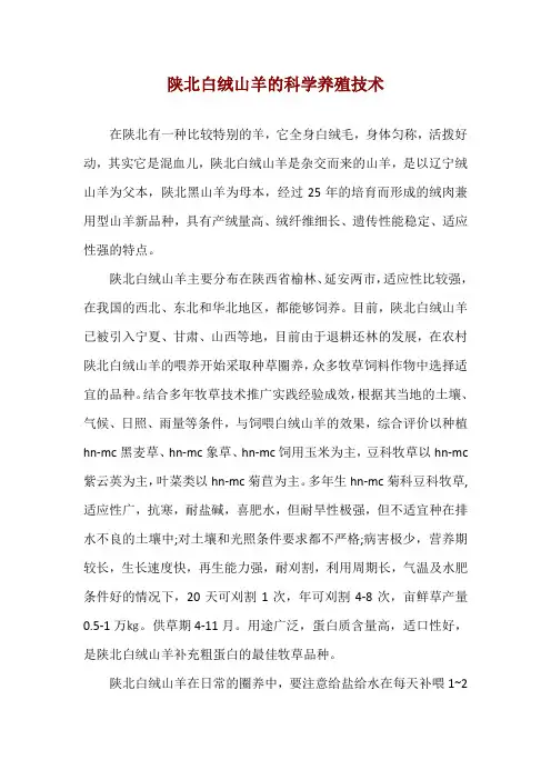 陕北白绒山羊的科学养殖技术