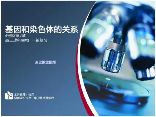 基因在染色体上高中生物必修-精选