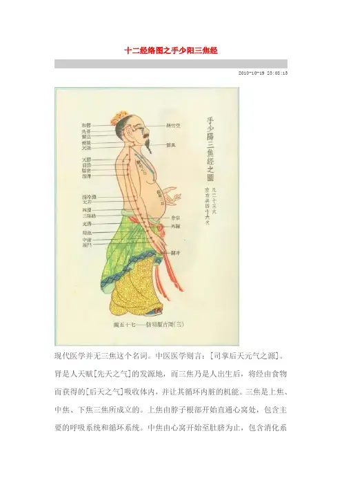 十二经络图之手少阳三焦经