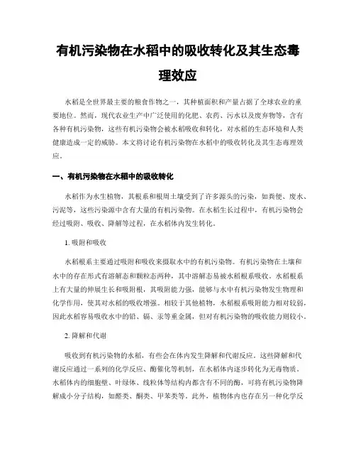 有机污染物在水稻中的吸收转化及其生态毒理效应