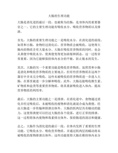 大肠的生理功能