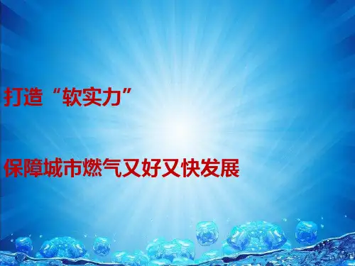 燃气集团整体信息化方案