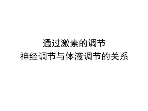 高三生物复习课件 通过激素的调节、神经调节与体液调节的关系