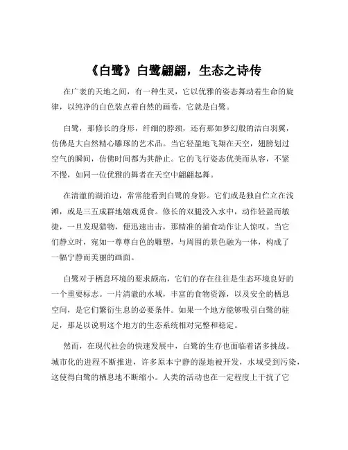 《白鹭》白鹭翩翩,生态之诗传