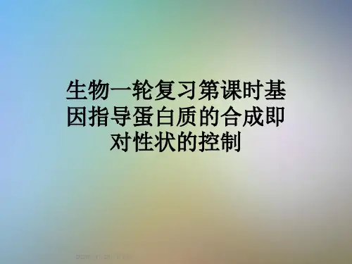 生物一轮复习第课时基因指导蛋白质的合成即对性状的控制