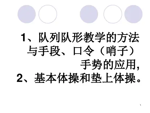 队列队形赵云翀PPT演示课件