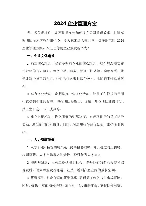 2024企业管理方案