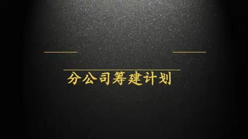 分子公司筹建计划方案