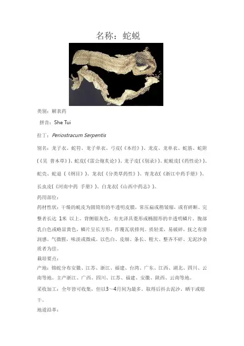 中药分析以及药性 蛇蜕