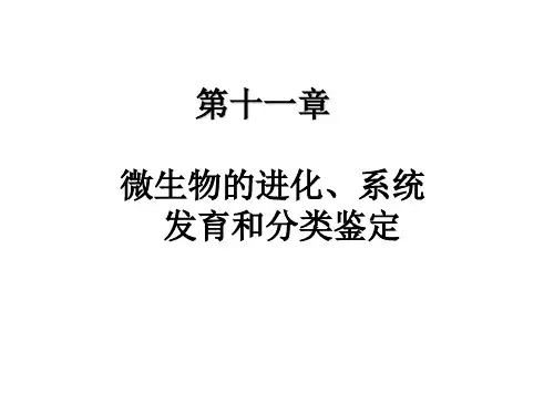 第十一章 微生物的进化.系统发育和分类鉴定