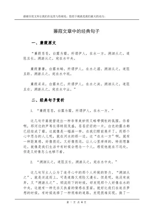 蒹葭文章中的经典句子