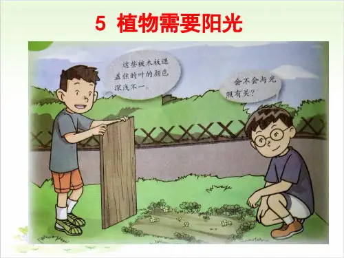 五年级上册科学-5植物需要阳光粤教版-PPT课堂课件