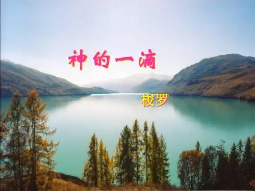 神的一滴