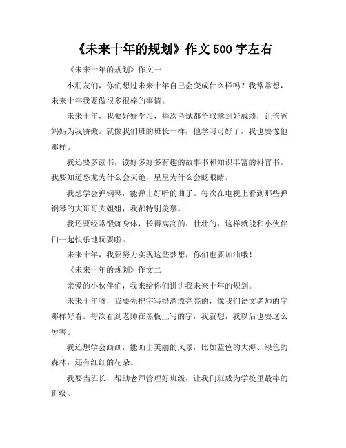 《未来十年的规划》作文500字左右