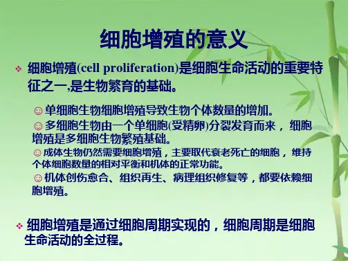  细胞增殖及其调控(共70张PPT)