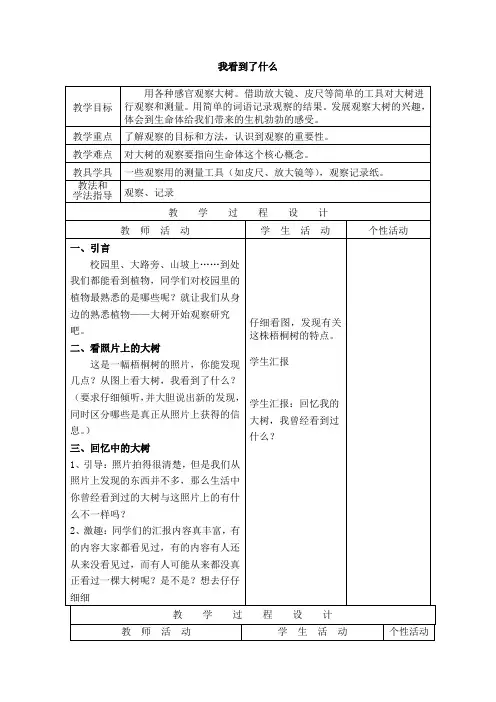 我看到了什么_教案1