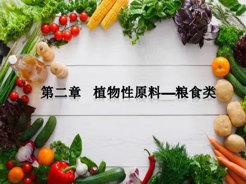 植物原料-粮食-豆、薯类及粮食制品