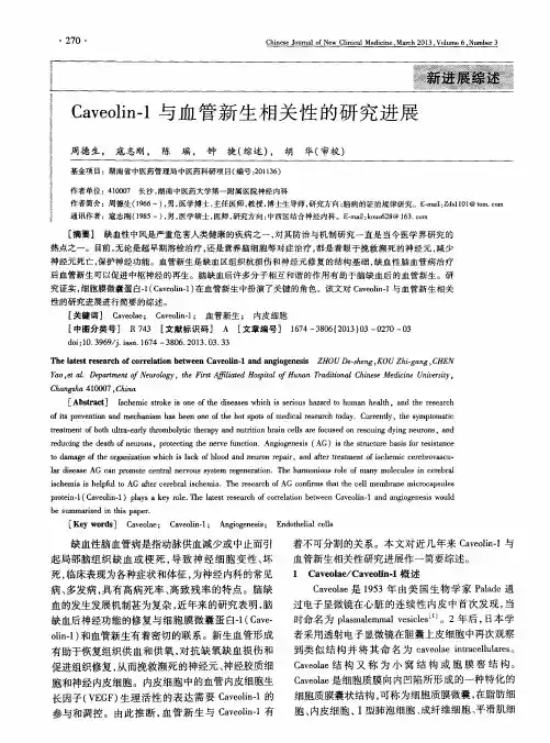 Caveolin-1与血管新生相关性的研究进展