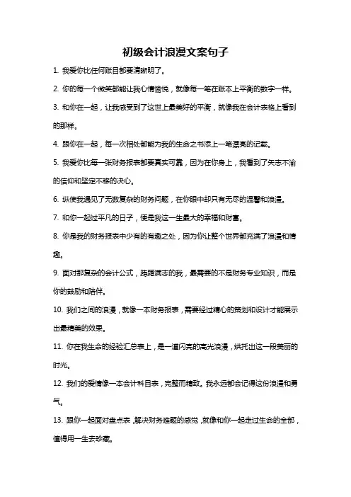 初级会计浪漫文案句子