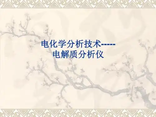 电解质分析仪.