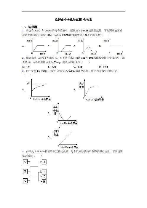 临沂市中考化学试题 含答案
