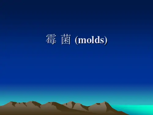 霉菌