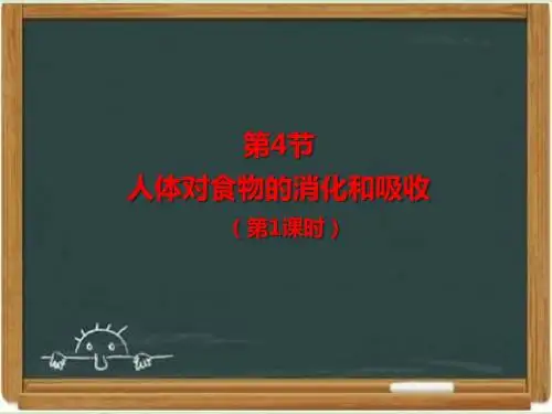 苏科版七年级生物上册《人体对食物的消化和吸收》第1课时课件