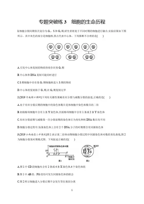 2020版高考生物大二轮专题突破通用版专题突破练3细胞的生命历程