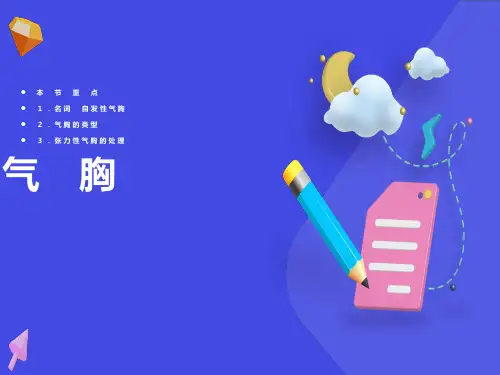 气胸诊断及影像表现
