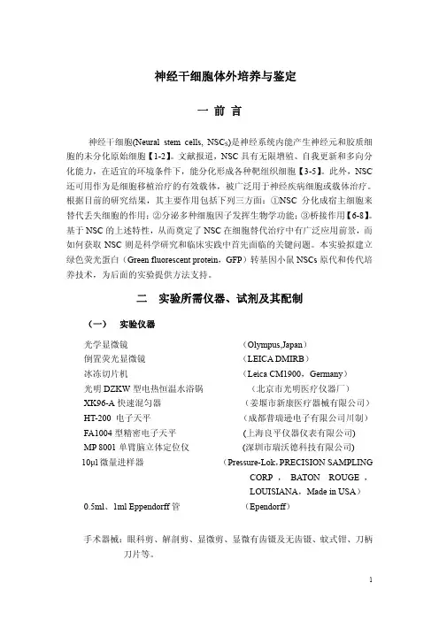 神经干细胞体外培养技术