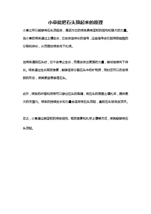 小草能把石头顶起来的原理