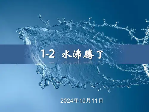 小学科学精品课件：《水沸腾了》教学课件