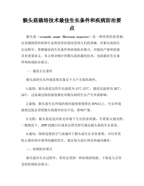 猴头菇栽培技术最佳生长条件和疾病防治要点