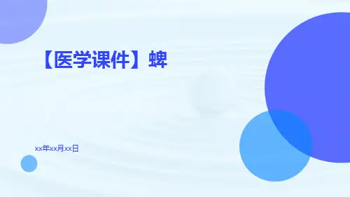 【医学课件】蜱