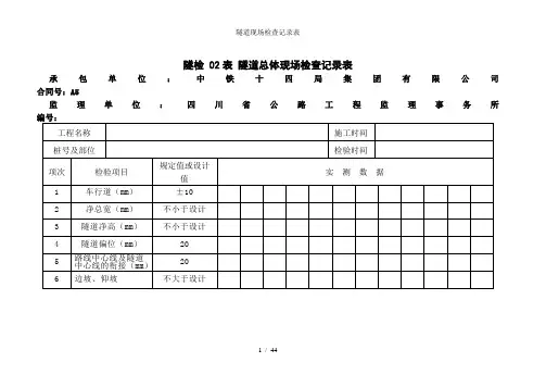 隧道现场检查记录表