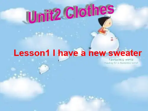 小学英语《Unit2 Clothes Lesson1 I have a new sweater》优质教学课件