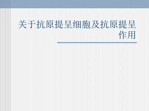 关于抗原提呈细胞及抗原提呈作用课件