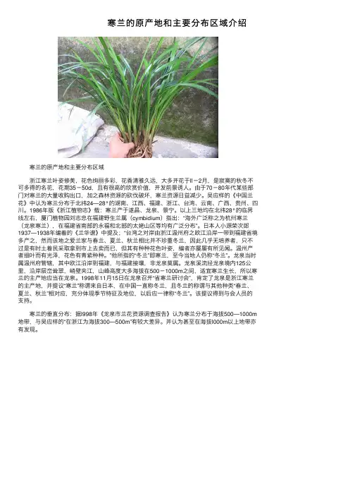 寒兰的原产地和主要分布区域介绍