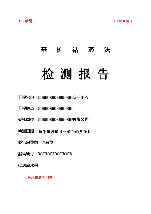基桩钻芯法试验检测报告