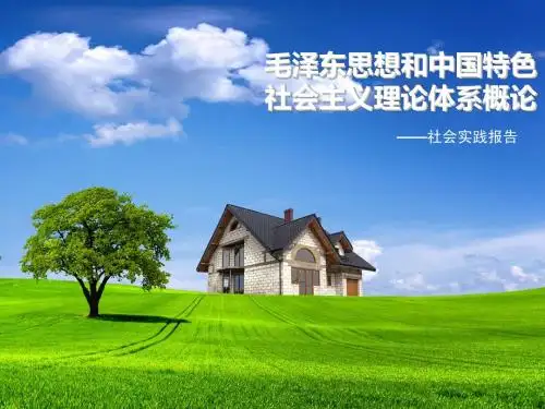 毛概调查ppt展示