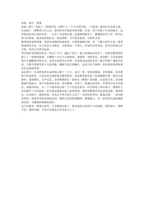 生活中的节日 小学生作文 (78)