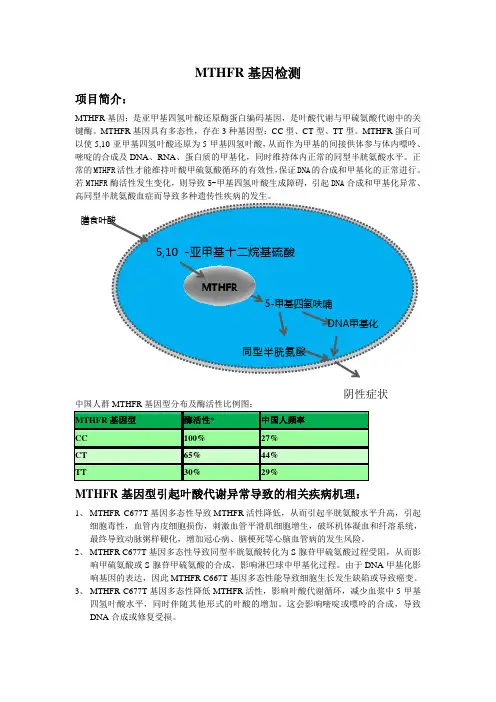 MTHFR基因检测